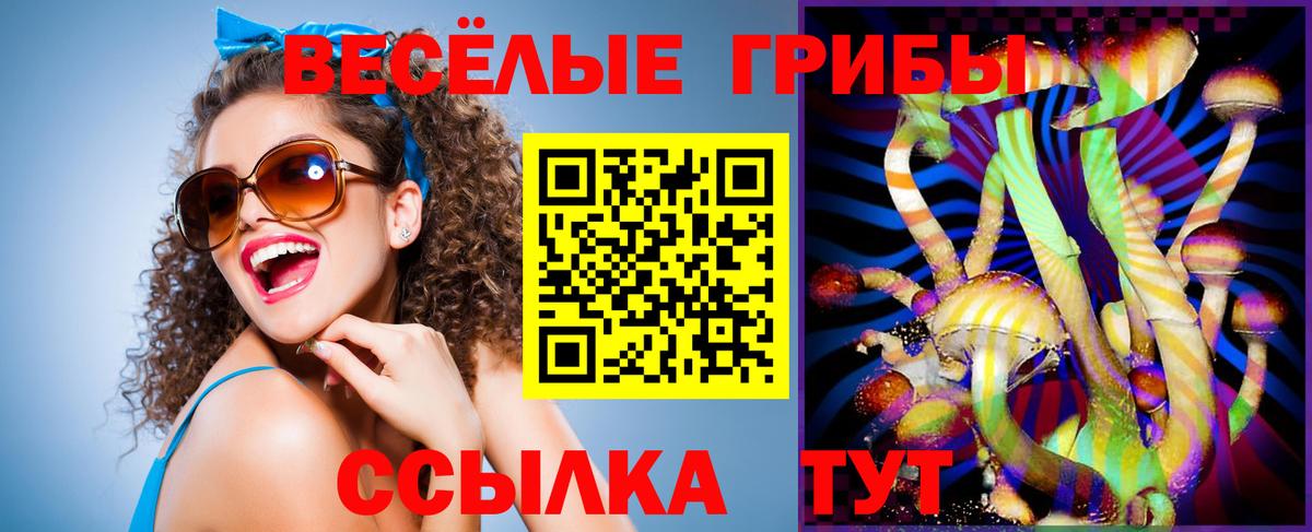 Галлюциногенные грибы мицелий  как найти закладки  Псилоцибиновые грибы прущие грибы  Кизляр  Вход с VPN 