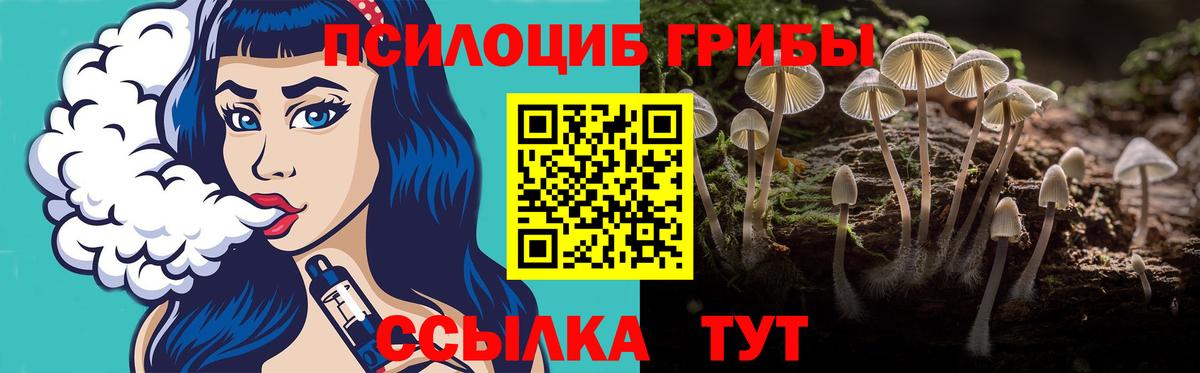 Псилоцибиновые грибы мухоморы Кизляр